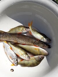 20190715-144516.jpg