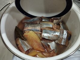 IMG_20260227_211154.jpg