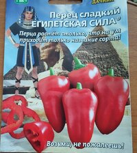 IMG_20260228_183317.jpg