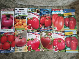 IMG_20260228_163113.jpg