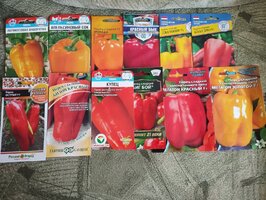IMG_20260228_162857.jpg