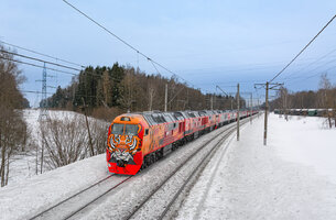 305587.jpg
