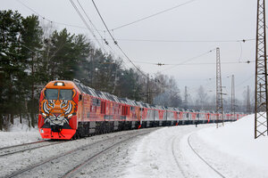 305603.jpg
