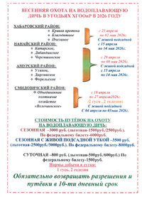 сроки весна 2026 г..jpg