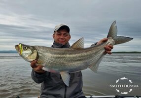 Изображение WhatsApp 2025-06-02 в 16.15.29_443924bc.jpg