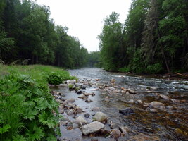 Верховья реки Анюй.jpg