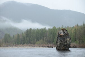 Совиная голова-1.JPG