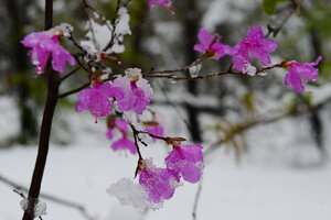 Инь и Янь-2.JPG