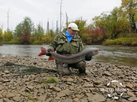 IMG_4603 — копия.JPG