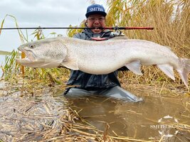 1603859678628.jpg 1603859678628.jpg