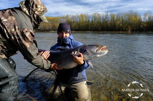 DSCF7433.JPG DSCF7433.JPG