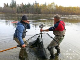 IMG_8717.JPG IMG_8717.JPG