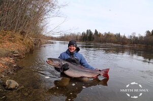 35 кило.JPG 35 кило.JPG