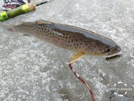 WuQmIOnh1Hnyx8CfwnOO6lMB7qc-f-KWnA5PpqKYDuosw6apoTJPAOryXg1tKgcOpUtiZ6wbPWjH6LSzCZpgN06T.jpg WuQmIOnh1Hnyx8CfwnOO6lMB7qc-f-KWnA5PpqKYDuosw6apoTJPAOryXg1tKgcOpUtiZ6wbPWjH6LSzCZpgN06T.jpg