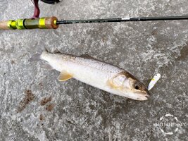 zAJWChgB4ph2D44SFsoekjrC0-QmQckJxXtqSbpzv2z3yWc6D6nxYJmrmHf4DkRZft08wDrdbMzEsm_IP0TBstLc.jpg zAJWChgB4ph2D44SFsoekjrC0-QmQckJxXtqSbpzv2z3yWc6D6nxYJmrmHf4DkRZft08wDrdbMzEsm_IP0TBstLc.jpg