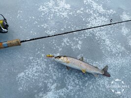 _vbsRtZHk7wx_Zt0pLuzX4OP2YfUq_4vymWXRHxSS7CcbpKXBili1syoE0SUkZfXMDqJhDU99nDkpaJW_AcyJ2tH.jpg _vbsRtZHk7wx_Zt0pLuzX4OP2YfUq_4vymWXRHxSS7CcbpKXBili1syoE0SUkZfXMDqJhDU99nDkpaJW_AcyJ2tH.jpg