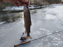 2lPTgUujAZccsHqVSaea6GzL8xaiGj6ZQFFbWFeH6FeP3G0VqLwmPPtHavQsa7JmgrqpyEffvjYZak1BllZuE0l6.jpg 2lPTgUujAZccsHqVSaea6GzL8xaiGj6ZQFFbWFeH6FeP3G0VqLwmPPtHavQsa7JmgrqpyEffvjYZak1BllZuE0l6.jpg