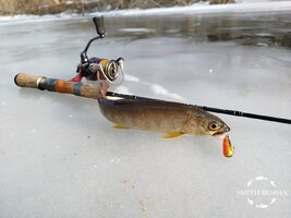 KWxBPHlZxQNMU-p7-DY7v6RmlSgTYyzarvi7gxlxmdtofq6kuoPIjpnI-nBYG8S7yl0NWLwRkZpezKXo7-TFAL0h.jpg KWxBPHlZxQNMU-p7-DY7v6RmlSgTYyzarvi7gxlxmdtofq6kuoPIjpnI-nBYG8S7yl0NWLwRkZpezKXo7-TFAL0h.jpg