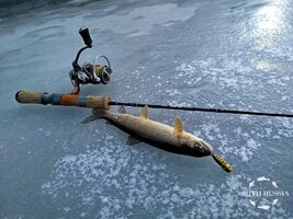 ry_Mgkv2hdysyHxoak2nHtENxhUhgb1a4IFStg9viWAwMsz73lWKsO-eAjR2xdRev3v3ZUYom4DBV9yQCM492lrX.jpg ry_Mgkv2hdysyHxoak2nHtENxhUhgb1a4IFStg9viWAwMsz73lWKsO-eAjR2xdRev3v3ZUYom4DBV9yQCM492lrX.jpg