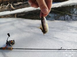 VFhmWSjEURwV8cNFpRacjGUYvN8xBO1hNLESiwR3wjYSjSFtrhRt_8kAO50t4PkCJU7tXj1Z-3wedvxwnUBMg3qx.jpg VFhmWSjEURwV8cNFpRacjGUYvN8xBO1hNLESiwR3wjYSjSFtrhRt_8kAO50t4PkCJU7tXj1Z-3wedvxwnUBMg3qx.jpg