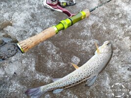 zeVy1at4wHvSQ-P4rVR905liI087Fn66e3HVJa83cDgNQHyYP5BOaFhfQTsnCLQMM20u_V6ns_M5Wyv8cH1PkRN5.jpg zeVy1at4wHvSQ-P4rVR905liI087Fn66e3HVJa83cDgNQHyYP5BOaFhfQTsnCLQMM20u_V6ns_M5Wyv8cH1PkRN5.jpg