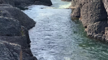 Снимок экрана 2026-03-16 120112.png