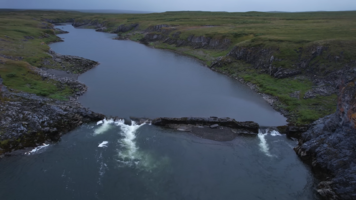 Снимок экрана 2026-03-16 164448.png