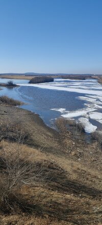 IMG_20260405_095117.jpg