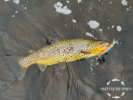 2025-08-26 23-25-47 (7).jpg