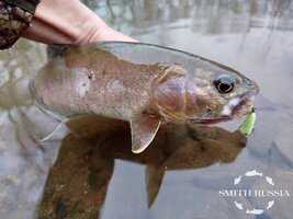 hF952oJ_yRqurtcRMAoPwXF5FbEvtrUa6QKEJ7ZTkR7XHZWcAyNMB0rC2WQHmB1VzjmAbnmFglFfMIPsZyiCzvfD.jpg hF952oJ_yRqurtcRMAoPwXF5FbEvtrUa6QKEJ7ZTkR7XHZWcAyNMB0rC2WQHmB1VzjmAbnmFglFfMIPsZyiCzvfD.jpg