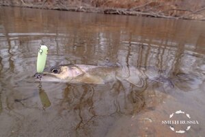 jnayEDKmiTrL_ujlyDTkkyvI957UNt8rqbWmX87eP3k_tvo4jgdhJCfor5LyW-WN-CykzEw1c-KFyTfzywMERvFg.jpg jnayEDKmiTrL_ujlyDTkkyvI957UNt8rqbWmX87eP3k_tvo4jgdhJCfor5LyW-WN-CykzEw1c-KFyTfzywMERvFg.jpg