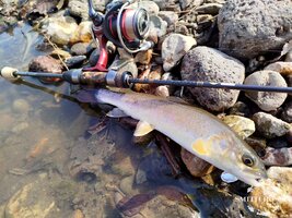 k45umdpJ4FIkKNfwh4UkWWfVQNh6cIjdupEab82ajG5gx_LbGVaDtmYqpyH5tVmT5kFC7yuRTZs_Cerfx8tAtvoq.jpg k45umdpJ4FIkKNfwh4UkWWfVQNh6cIjdupEab82ajG5gx_LbGVaDtmYqpyH5tVmT5kFC7yuRTZs_Cerfx8tAtvoq.jpg