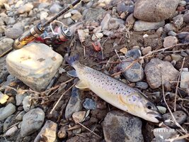 oaaUOxAIUx-w5mN-9NlKF5cuChc8Ktk264Cp8bpWTJRH_n1gMYrs_YYXgMf0FIRfGOi8k0JGZW8MI9DoPQ5GrriM.jpg oaaUOxAIUx-w5mN-9NlKF5cuChc8Ktk264Cp8bpWTJRH_n1gMYrs_YYXgMf0FIRfGOi8k0JGZW8MI9DoPQ5GrriM.jpg