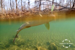 OKooHDCja6mEXZofpeyeF-XbzfXQOez8vJNh3AtRajxut-TiwpByNd2OowP3qMxdlvgRhqnlnGNfqY79oTmzfPxW.jpg OKooHDCja6mEXZofpeyeF-XbzfXQOez8vJNh3AtRajxut-TiwpByNd2OowP3qMxdlvgRhqnlnGNfqY79oTmzfPxW.jpg