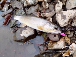 plU9FUdTQSvd7xE8qmwVHPvJ7Rhy3V2gyLrTYvXOKvCcGTpTRYLeauIdgNwTgbMEtlflKmo8gEYA7yy24tFDluRE.jpg plU9FUdTQSvd7xE8qmwVHPvJ7Rhy3V2gyLrTYvXOKvCcGTpTRYLeauIdgNwTgbMEtlflKmo8gEYA7yy24tFDluRE.jpg