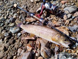 SDNh5Sdkvcud0IdSeWOd0JmRA4BsBizuuK8wy0RbfWkR9Y6KpealTujCPRnLXCWOSY2lZUwIQ45w2X5stLo_LfqT.jpg SDNh5Sdkvcud0IdSeWOd0JmRA4BsBizuuK8wy0RbfWkR9Y6KpealTujCPRnLXCWOSY2lZUwIQ45w2X5stLo_LfqT.jpg