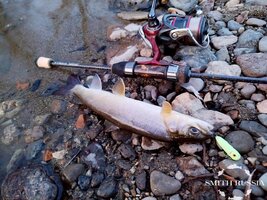 SMgVx1BJ780opD67TGx_GI7UEHqhXG5ktBfzFtHL1w9Mg4cmyE0UPKF87dk2o6S5SfD-S69LIPoilVlXXs2ckKyN.jpg SMgVx1BJ780opD67TGx_GI7UEHqhXG5ktBfzFtHL1w9Mg4cmyE0UPKF87dk2o6S5SfD-S69LIPoilVlXXs2ckKyN.jpg