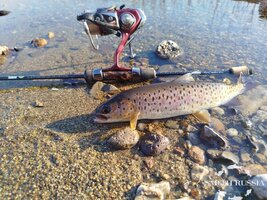 ZnbjpZHxYtuyURMkWfQilCtcy9LVdKAXoAODw90SzU_D5FykHrcU314ENI1jxBlXY3nnxYz9sXUCu0GBTcJXybsw.jpg ZnbjpZHxYtuyURMkWfQilCtcy9LVdKAXoAODw90SzU_D5FykHrcU314ENI1jxBlXY3nnxYz9sXUCu0GBTcJXybsw.jpg