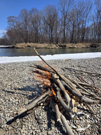 IMG_20260413_133315.png IMG_20260413_133315.png