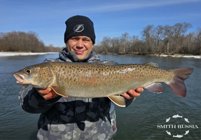 IMG_20260413_133321.png IMG_20260413_133321.png