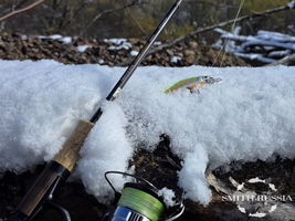 IMG_20260413_133346.png IMG_20260413_133346.png