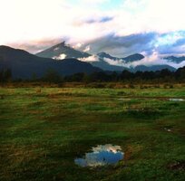 Screen Shot 2015-05-18 at 8.11.42 AM.jpg