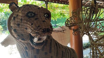 IMG_20260422_094345.jpg