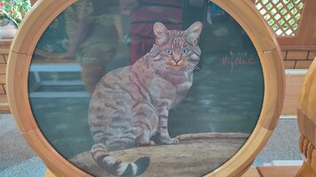 IMG_20260422_105805.jpg