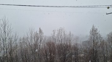 20260422_191014.jpg