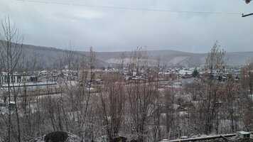 20260422_194911.jpg