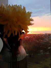 20260330_214331823.jpg