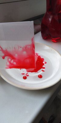 IMG_20260327_083957.jpg