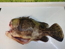 IMG_20260423_203312.jpg