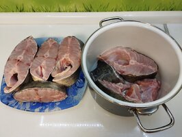 IMG_20260423_212043.jpg